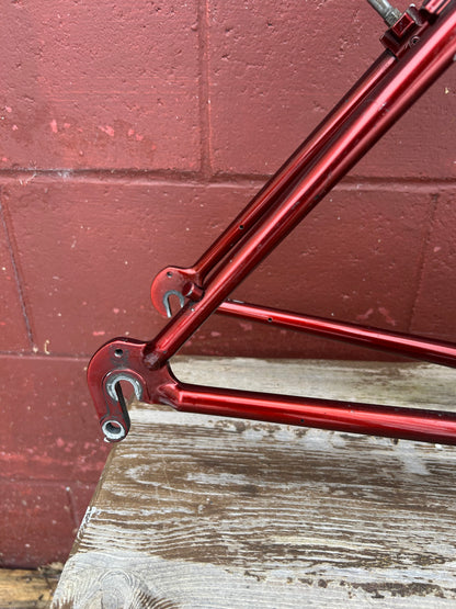 1995 19.5" Trek 8700 Frameset