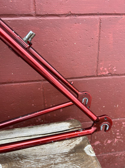 1995 19.5" Trek 8700 Frameset