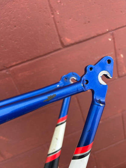 2002 19.5" Trek 9.8 OLCV Carbon Frame