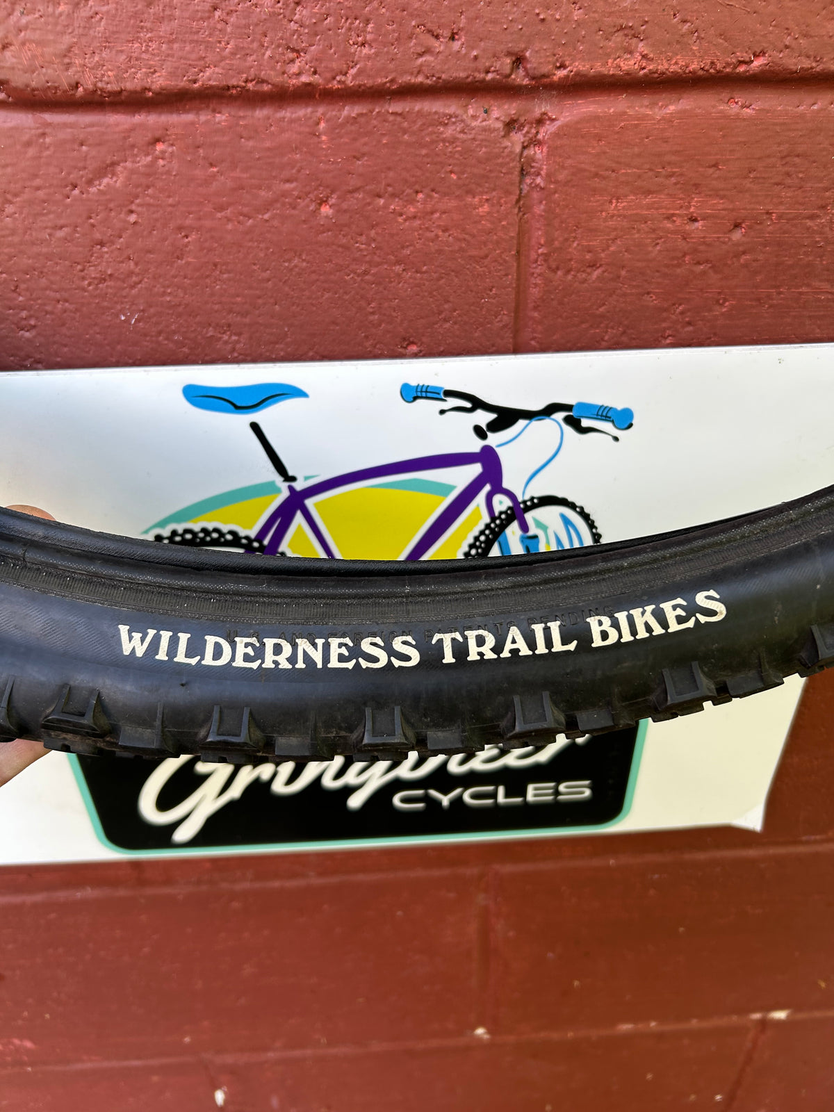 WTB Racing Raptor 26x1.95 Folding Bead Tire