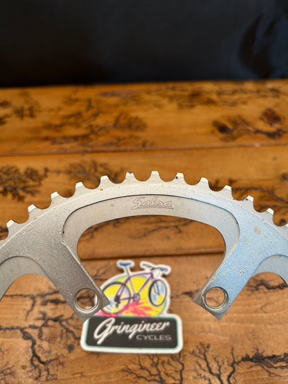 Salsa 53 Tooth 110 BCD Chainring