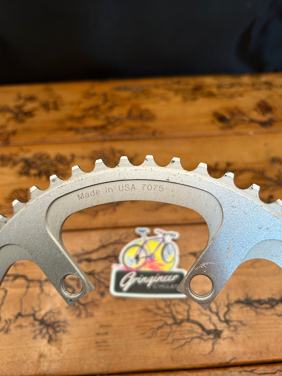Salsa 53 Tooth 110 BCD Chainring