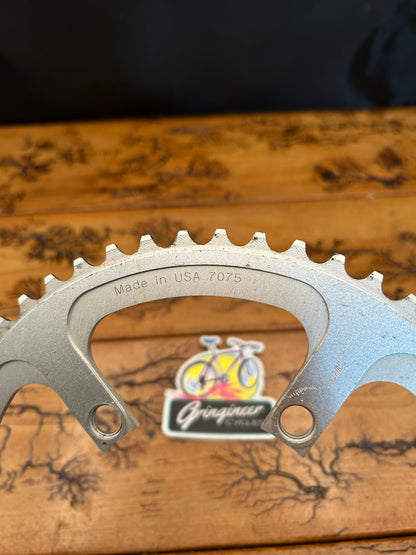 Salsa 53 Tooth 110 BCD Chainring