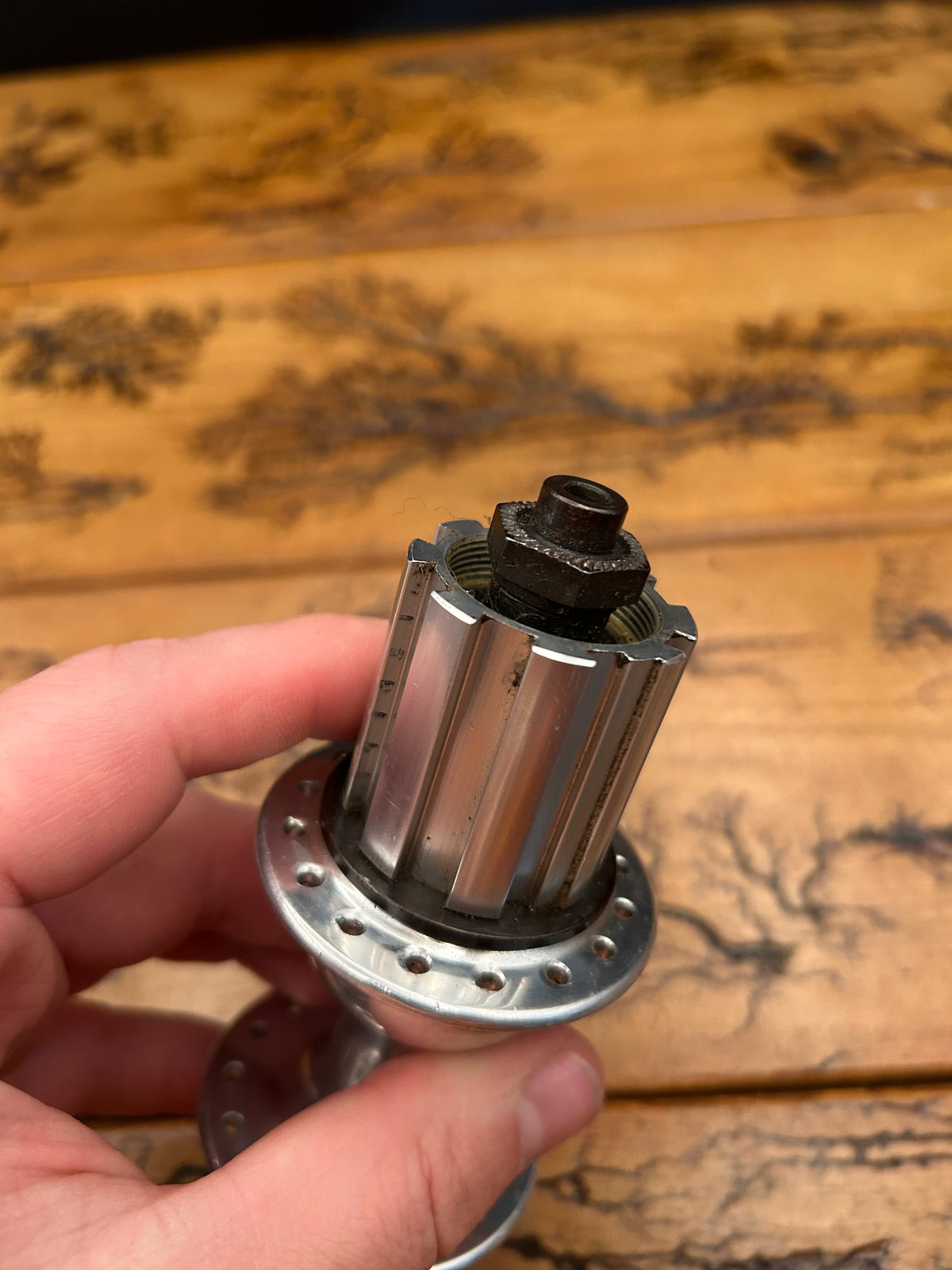 Campagnolo Record Exa Drive Alloy Freehub 32 Hole 130mm Rear Hub
