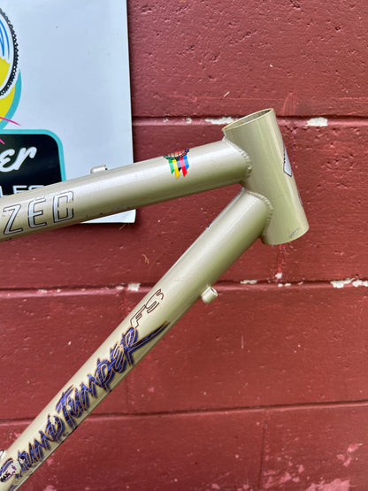 1995 17" Specialized Stumpjumper FS Steel Frame