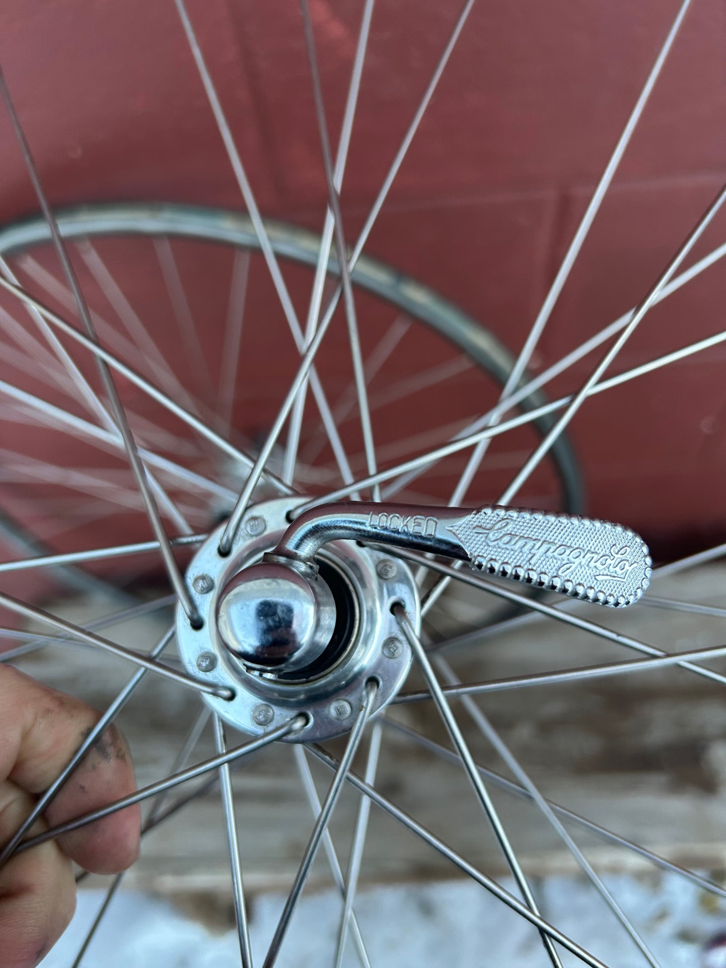 Mavic Open 4 CD Campagnolo EXA Drive 8 Speed 700c Wheelset