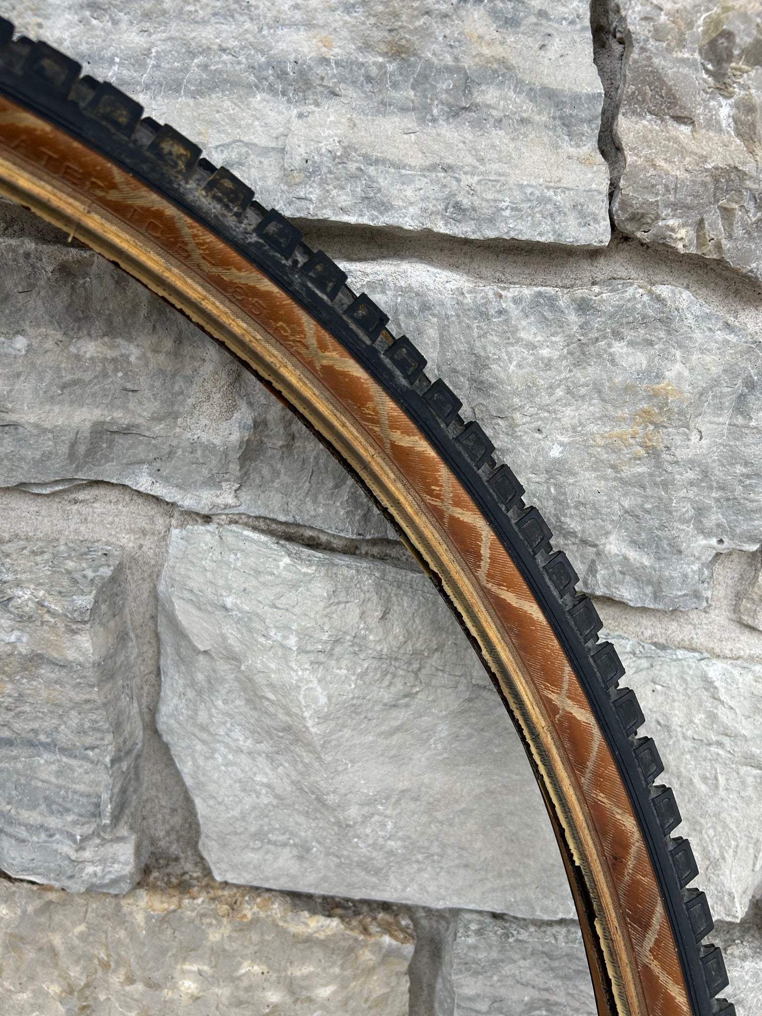 Tioga Wonder Dawg 26x1.95 Tire Set – Gringineer Cycles