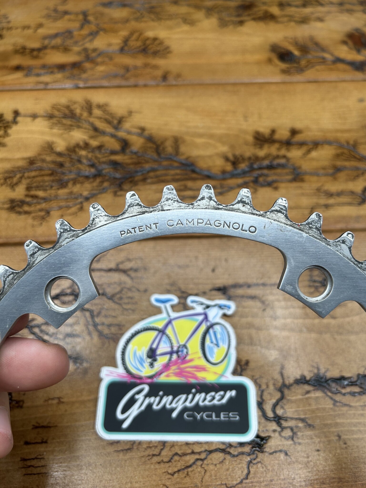 Campagnolo 45 Tooth 144 BCD Chainring – Gringineer Cycles