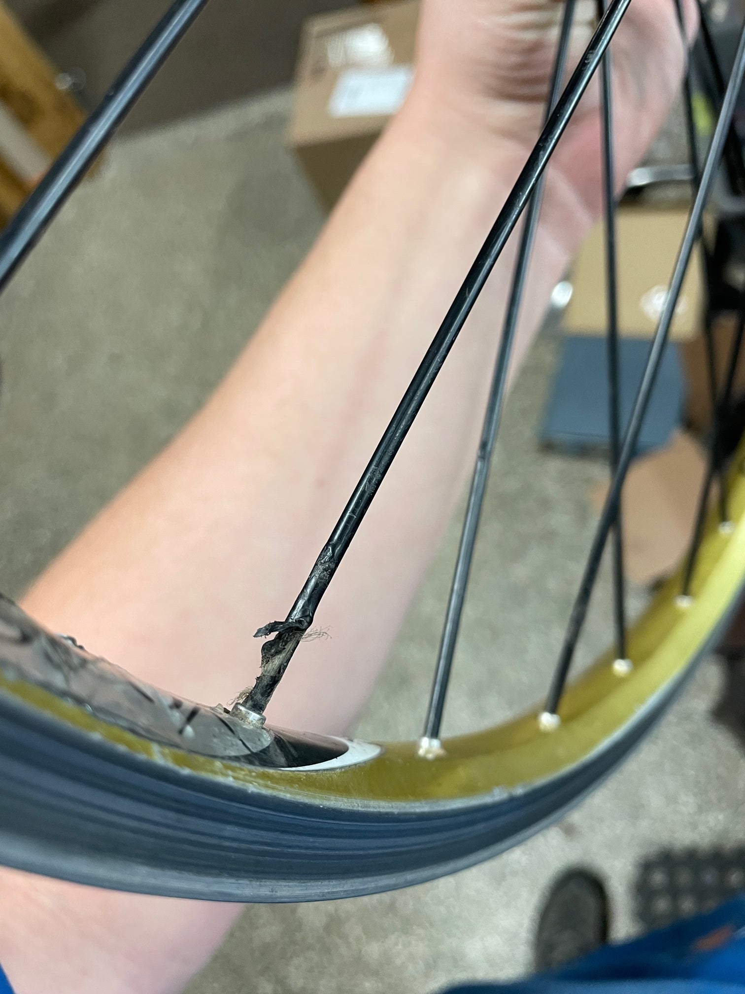 Spinergy Spox 26in Wheelset – Gringineer Cycles